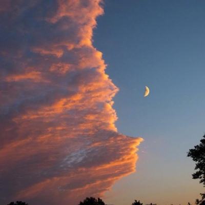 IM体育App下载截图